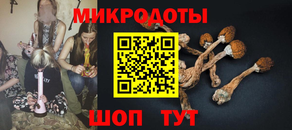 Галлюциногенные грибы Magic Shrooms  Вход с VPN  Апатиты 